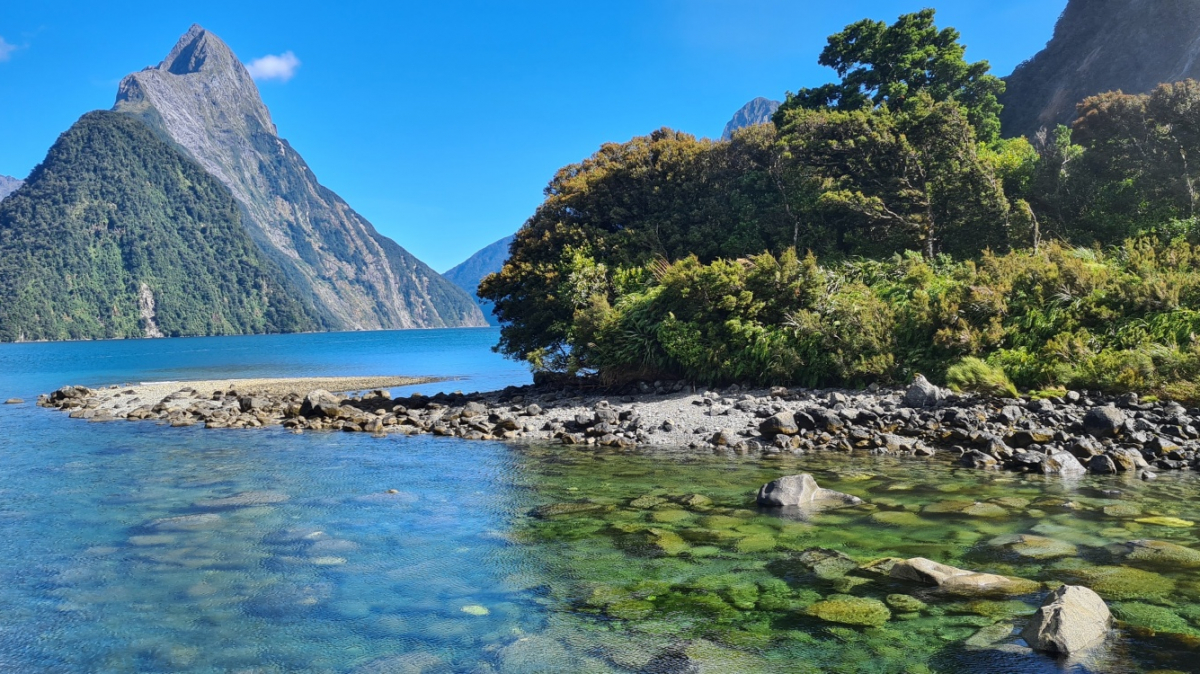 Фото: JustGoThere.NZ