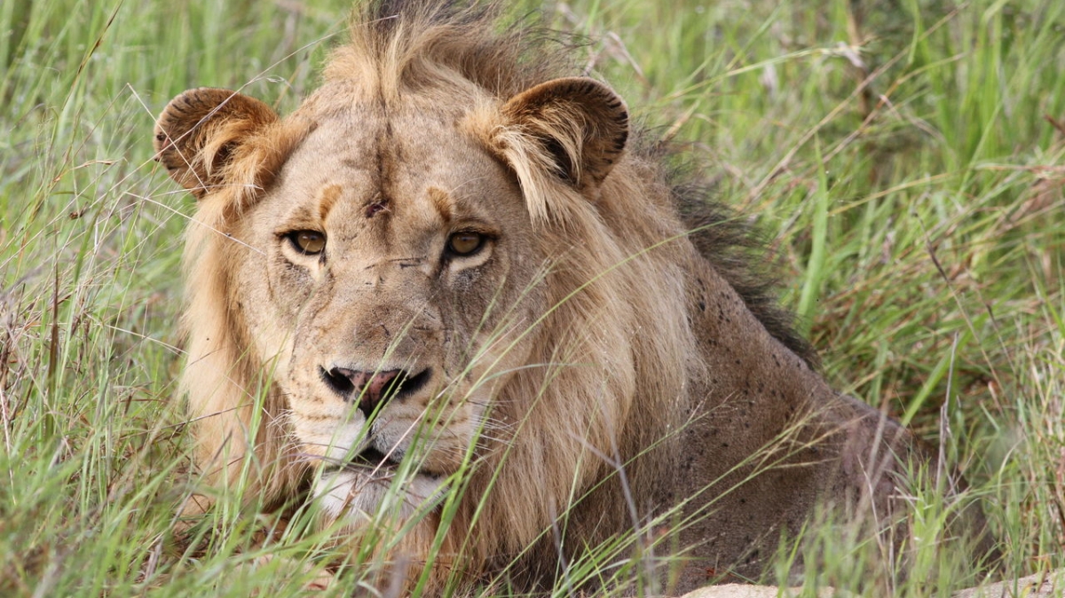 Автор: Derek Keats, источник: visualhunt