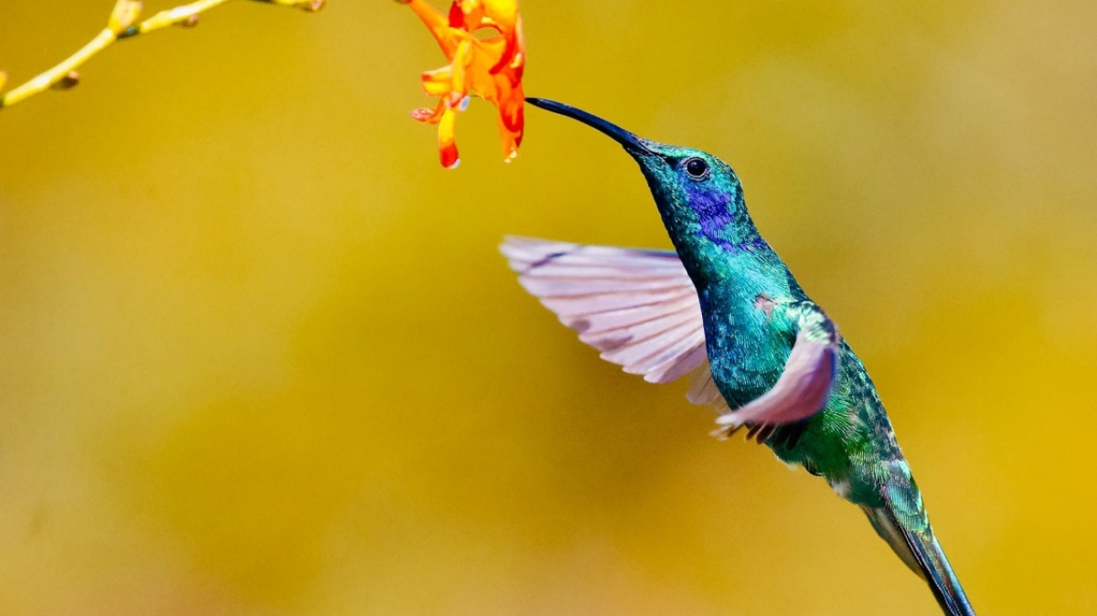 Фото: James Wainscoat, unsplash.com