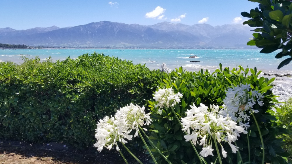 Фото: JustGoThere.NZ