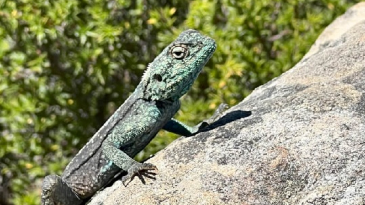 Фото: наш гид Алексей Шорец