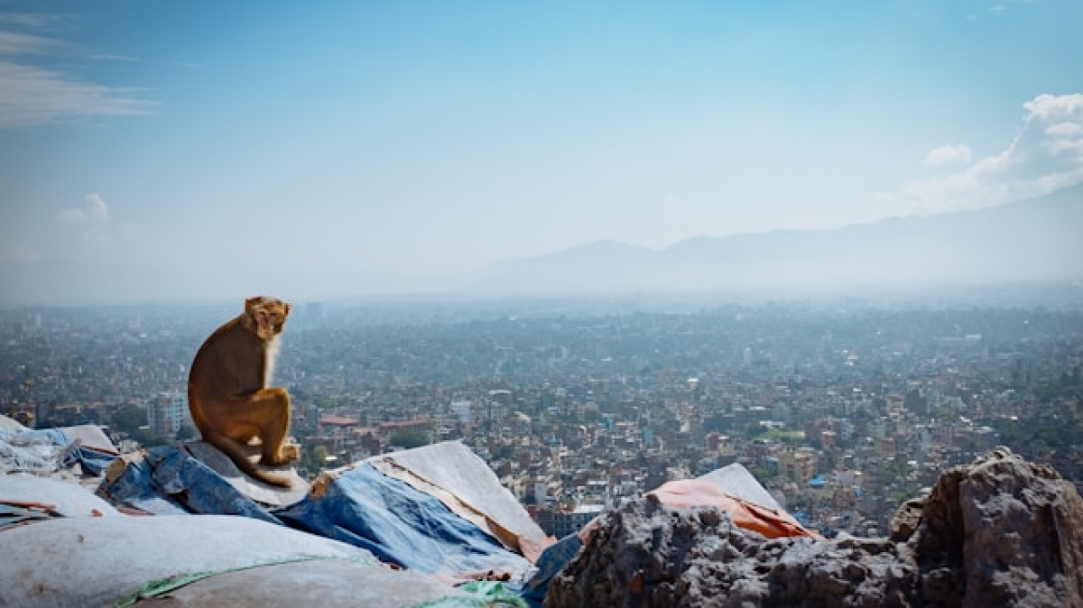 Фото: Ben Pauer on unsplash