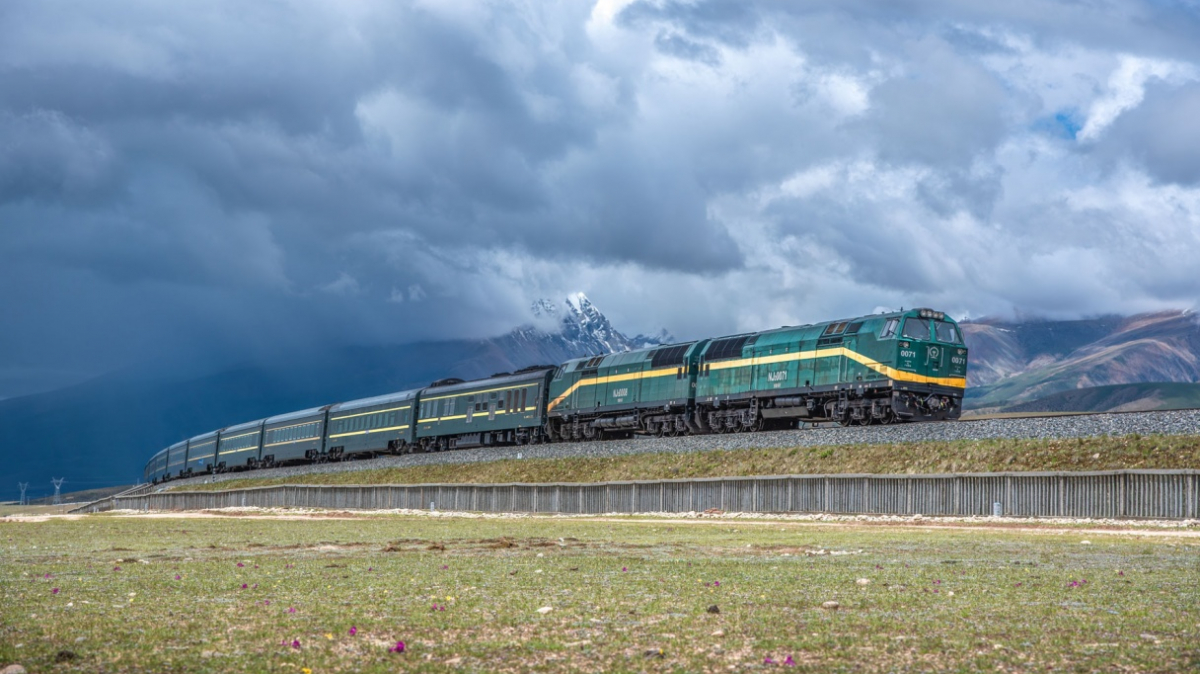 Фото: Jiaye Liu on shutterstock