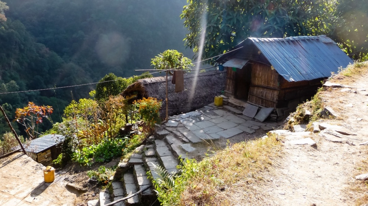 Фото: Matt-Zimmerman, visualhunt.com