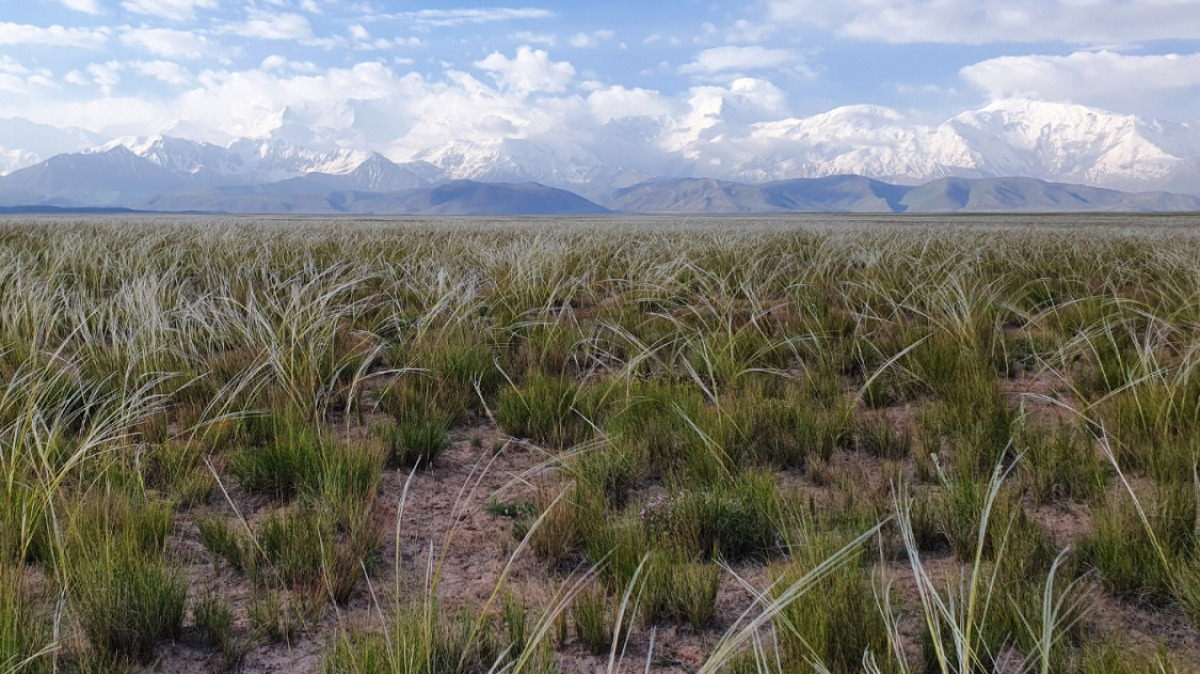 Из архива Клуба