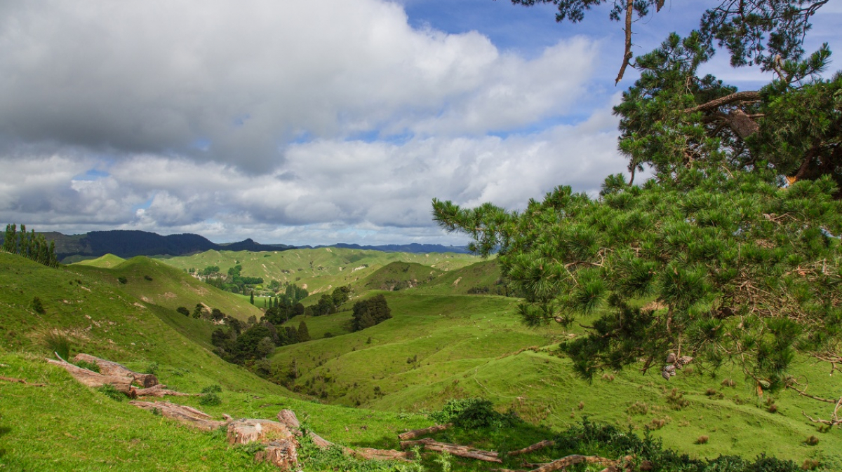 Фото нашей Странницы Татьяны Руновой