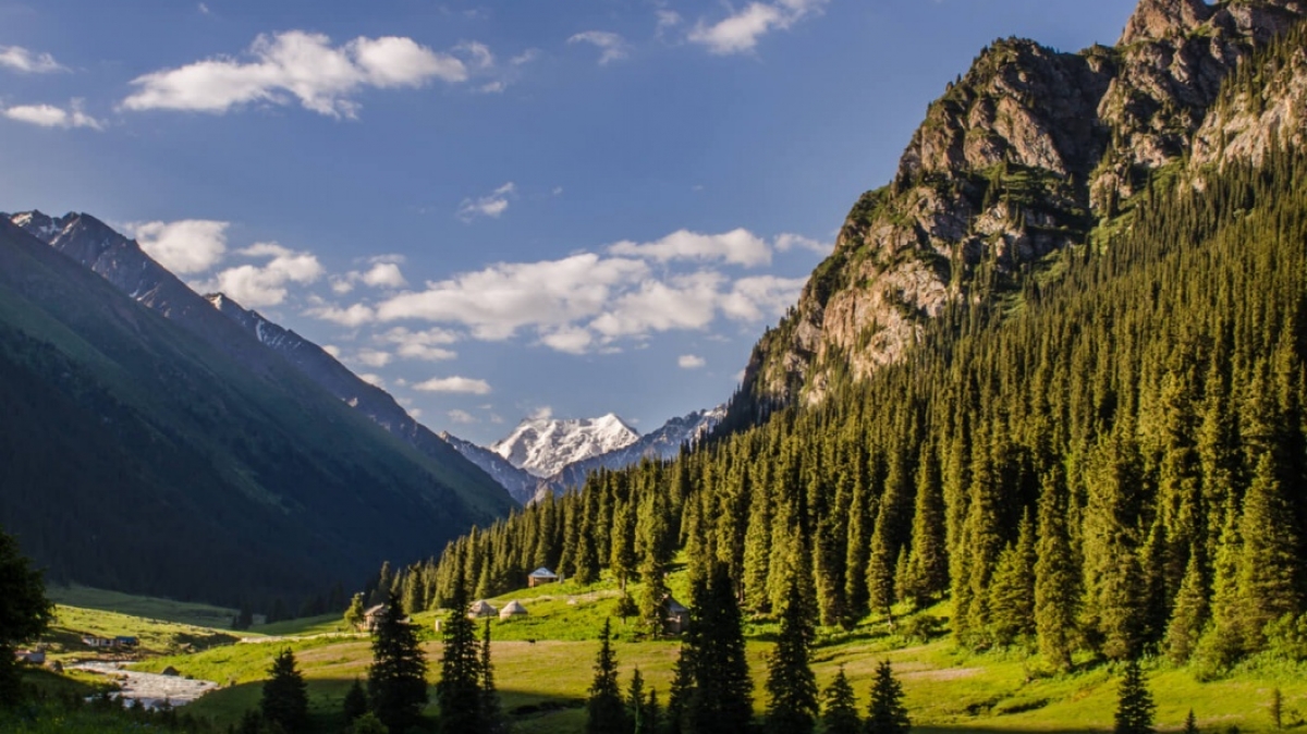 Долина Арашан, Жидков Анатолий