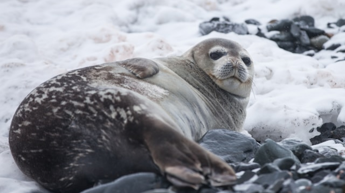 Фото: Yuriy Rzhemovskiy on unsplash