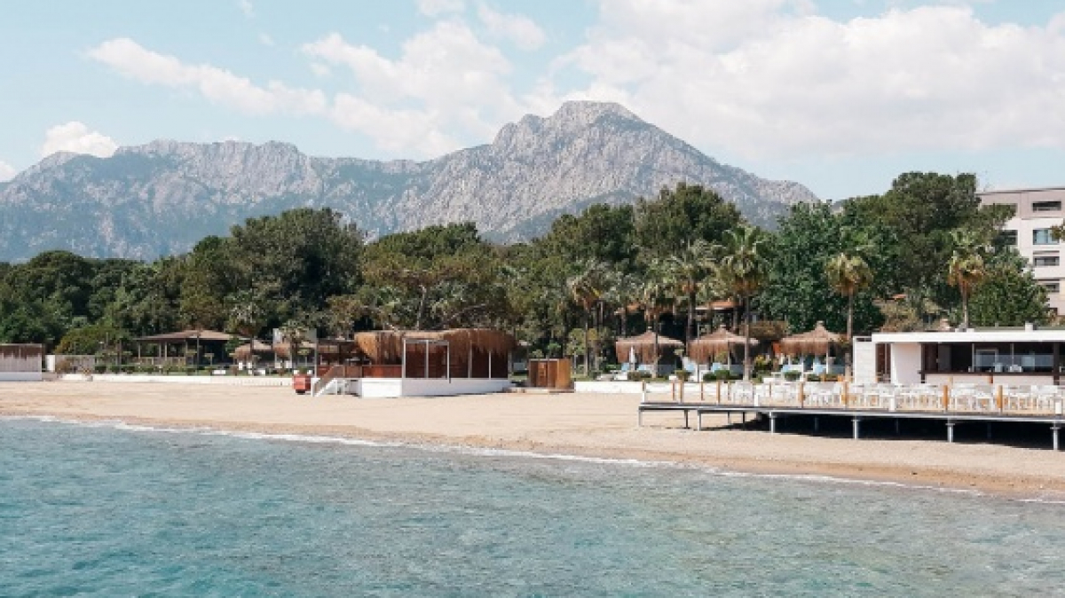 Фото: Hanna Balan, unsplash.com