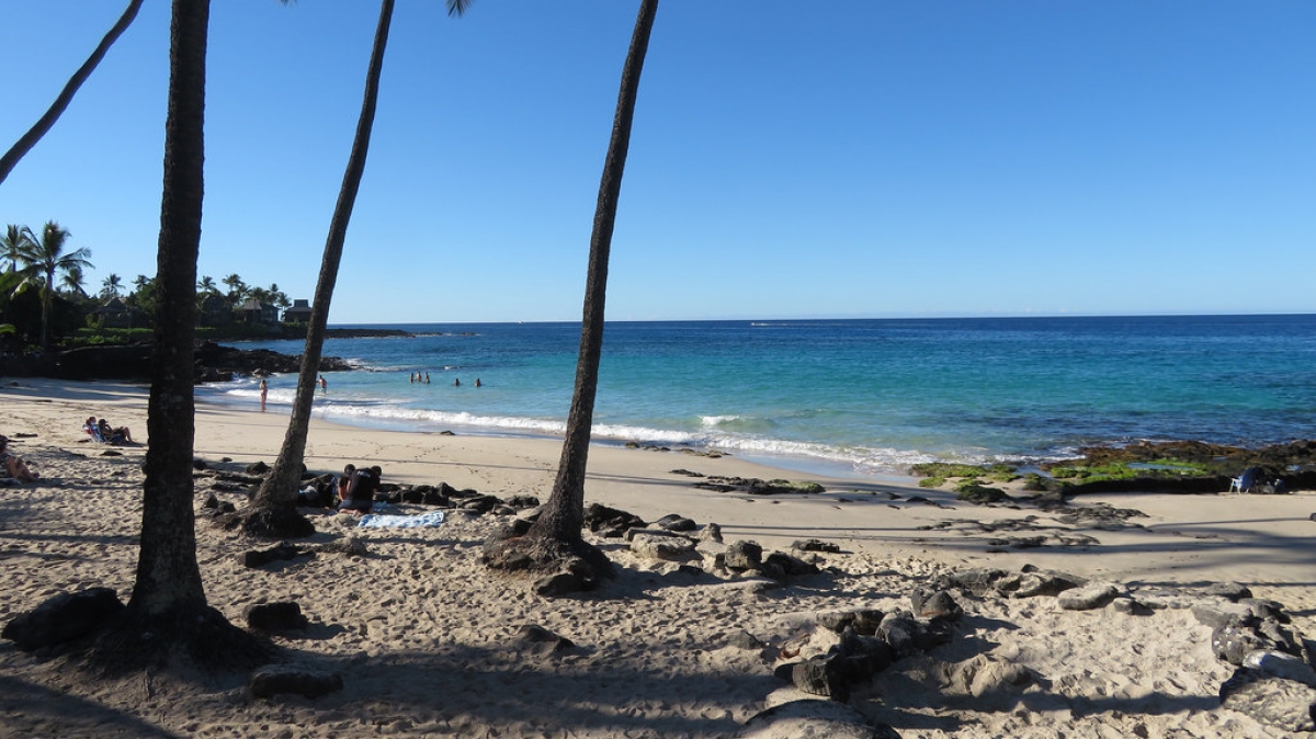 Автор: Blake Handley, источник: visualhunt.com