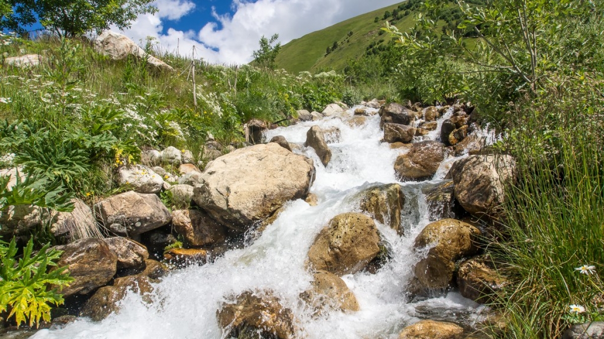 Фото нашего гида Ирины Пряничниковой.