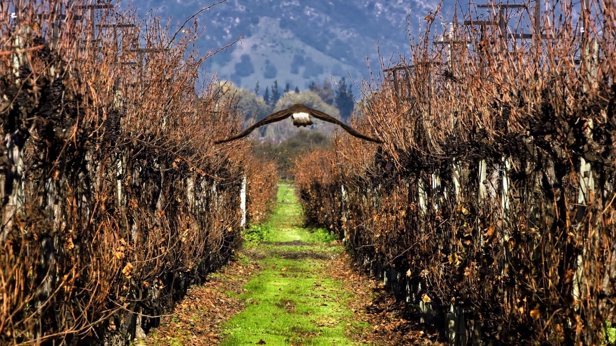 Источник фото: visualhunt.com