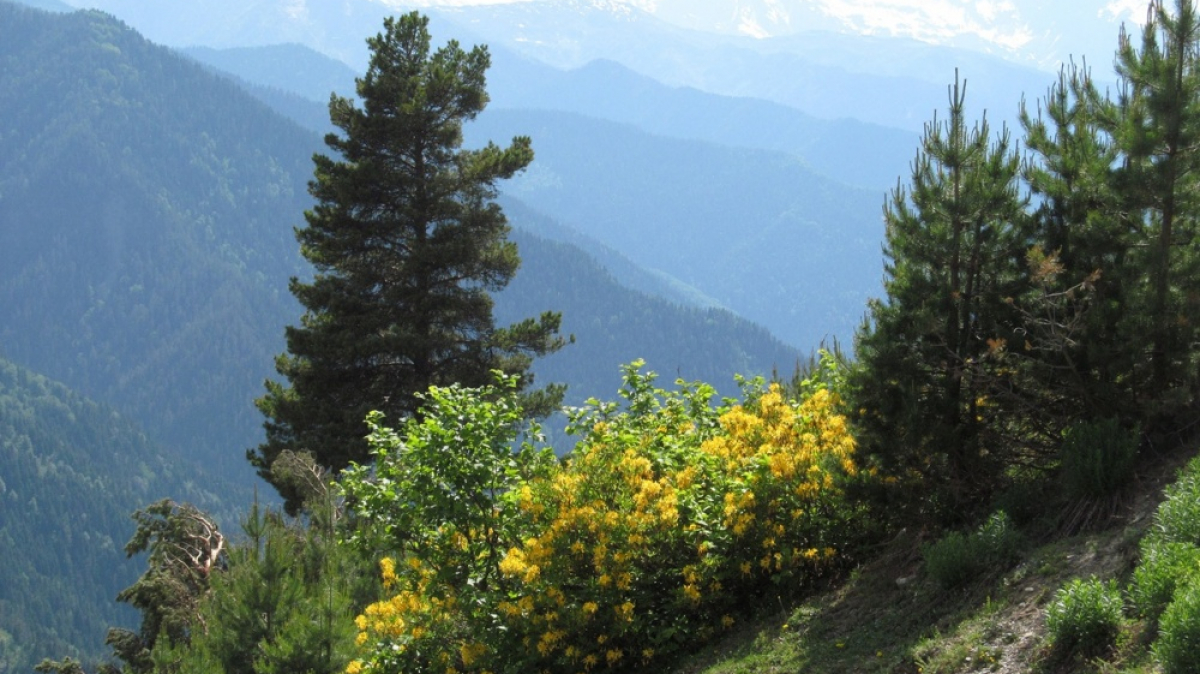 Фото нашего гида Ирины Пряничниковой