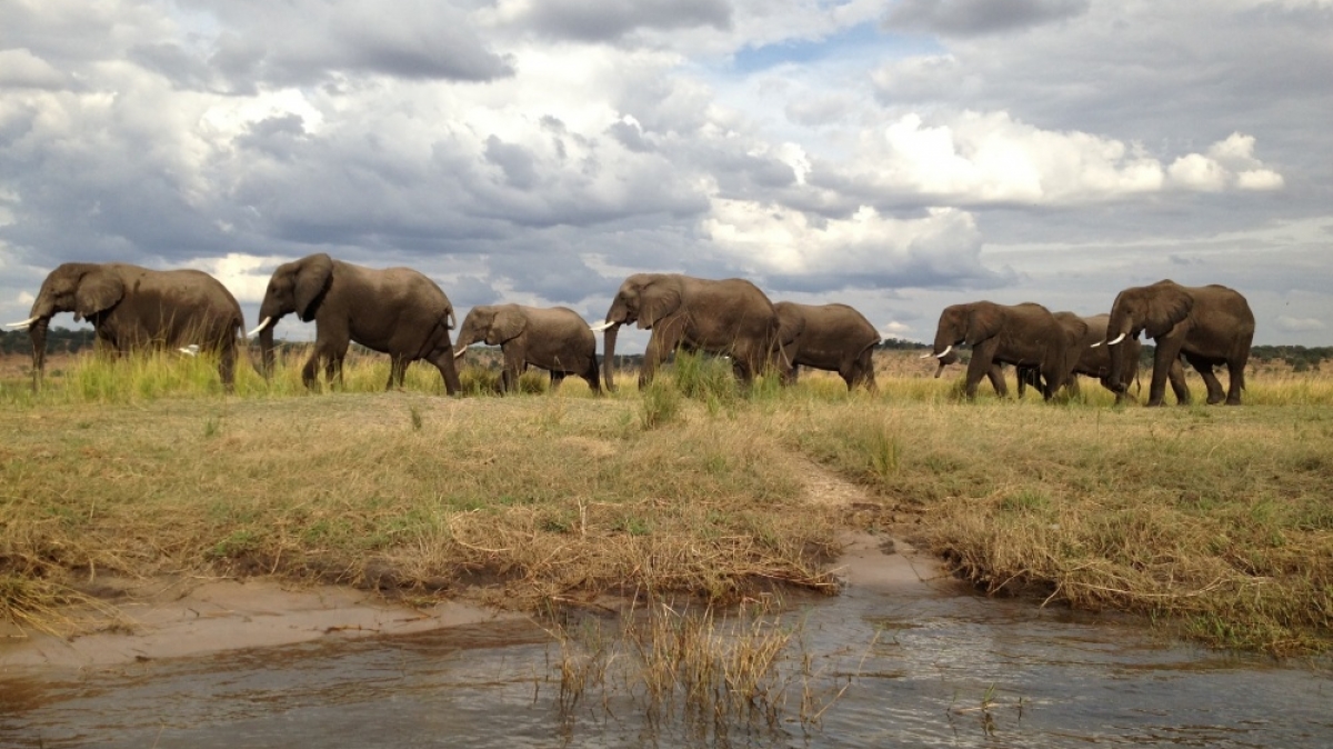 Фото: Dillon Groves, unsplash.com