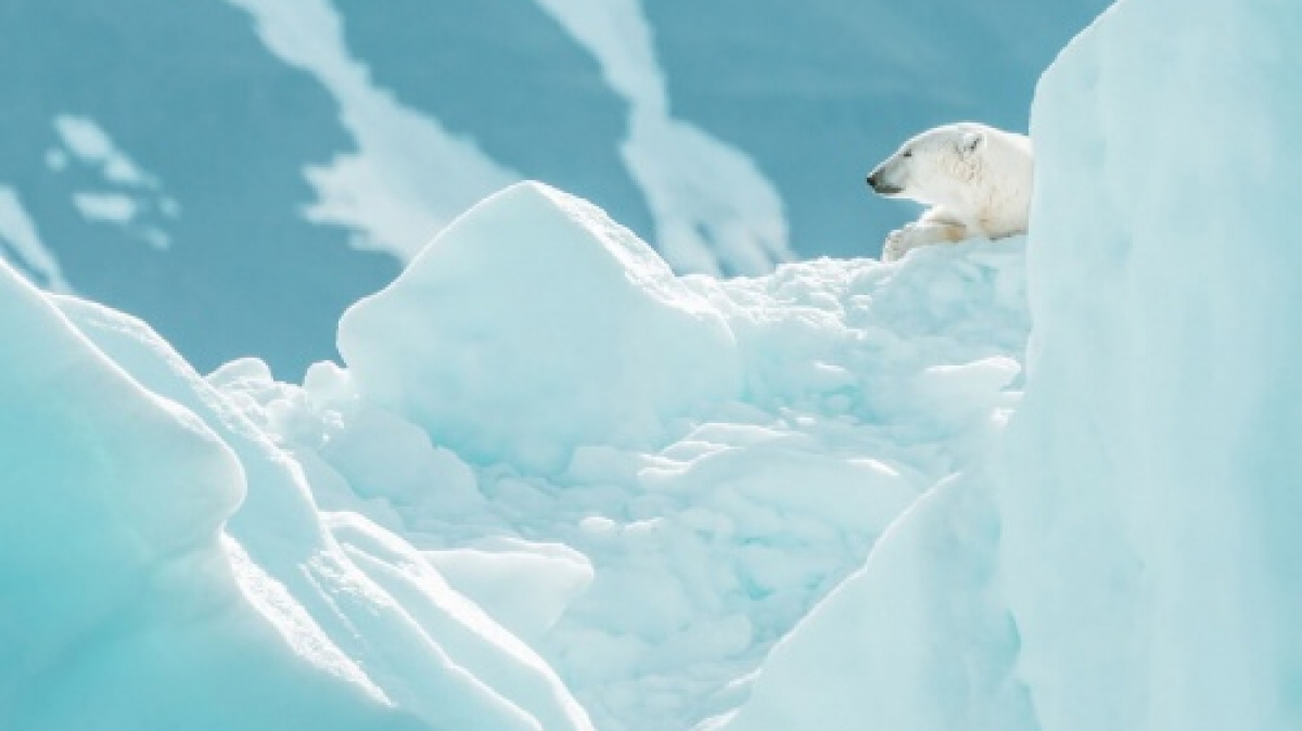 Фото: Annie Spratt, unsplash.com