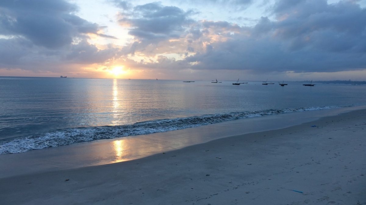 Фото: samson tarimo, unsplash.com