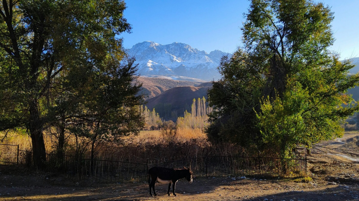 Фото: Alexander Gluschenko on unsplash