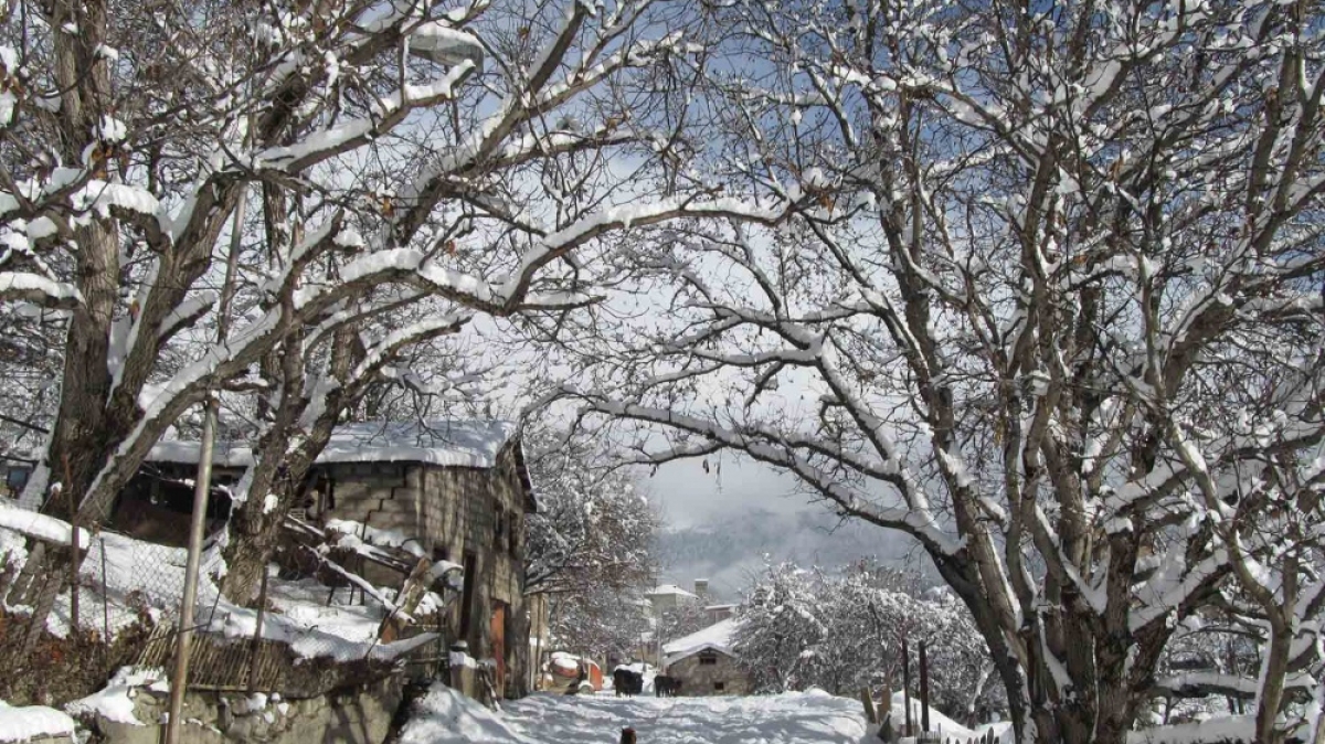 Фото нашего гида Ирины Пряничниковой