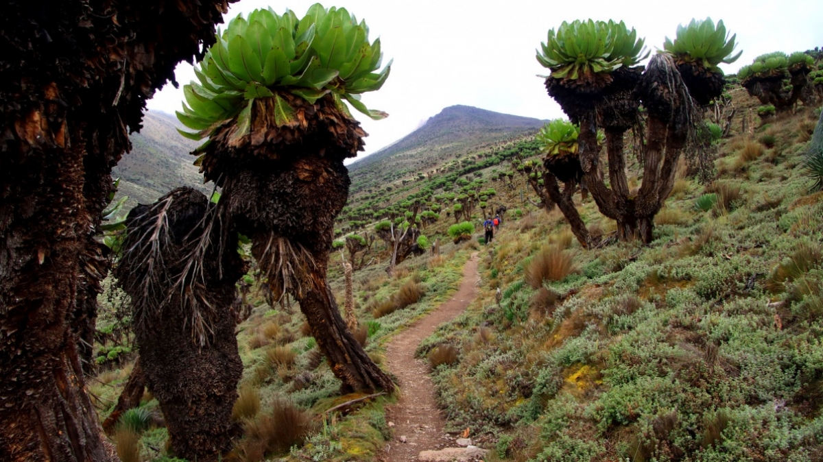 Фото: Giåm, visualhunt.com