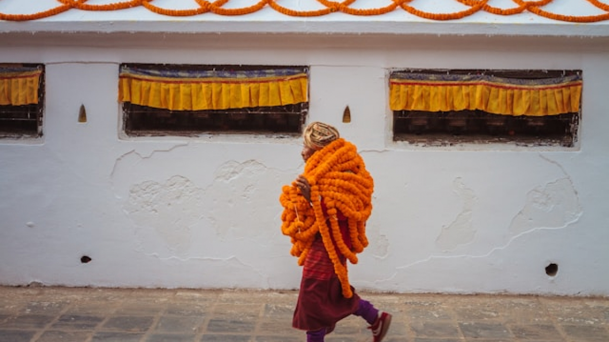 Фото: Jonny James, unsplash.com