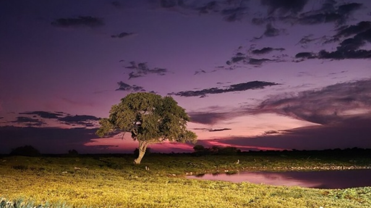 Этоша на закате. Фото: наш гид Алексей Шорец