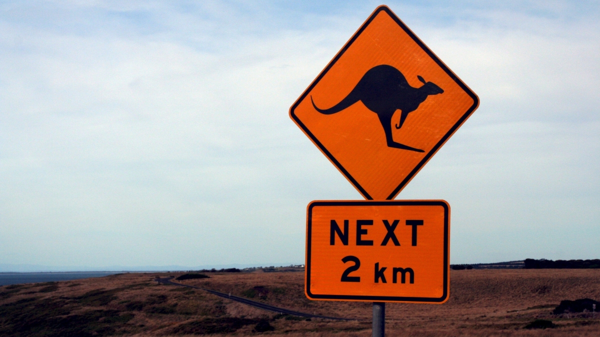 Фото: moerschy. Источник: visualhunt.com