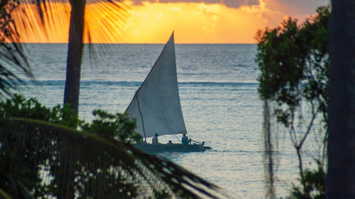 Фото: Crispin Jones, unsplash.com