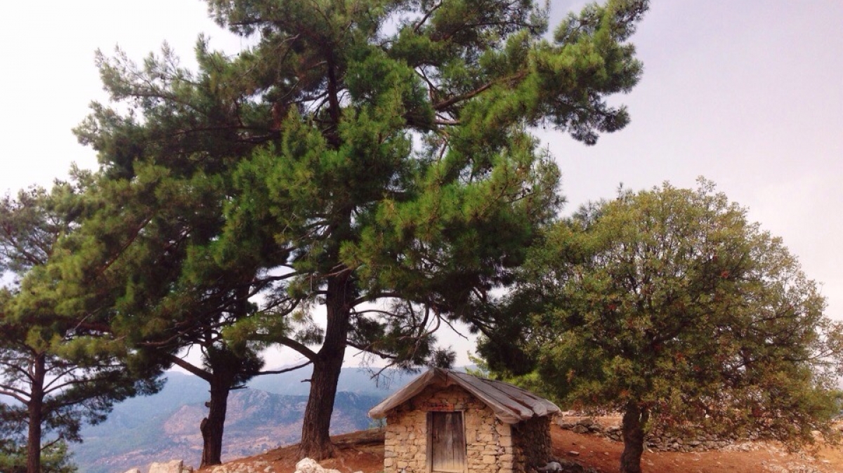 Фото Татьяны Швыряевой