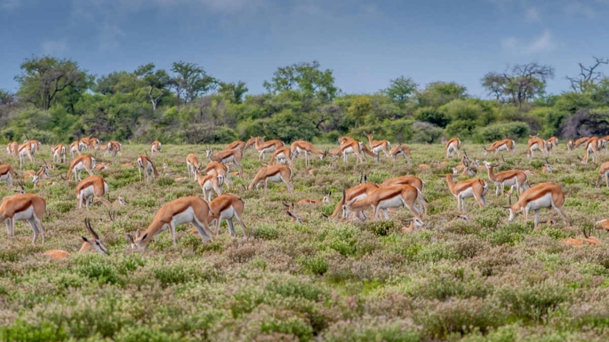 Фото Joachim Riegel для Unsplash.com