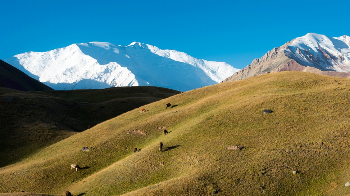 Фото: depositphotos.com