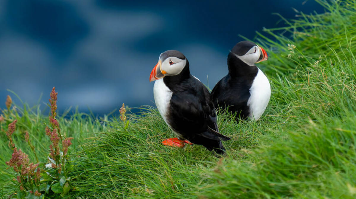 Фото: Anthony Quintano on VisualHunt