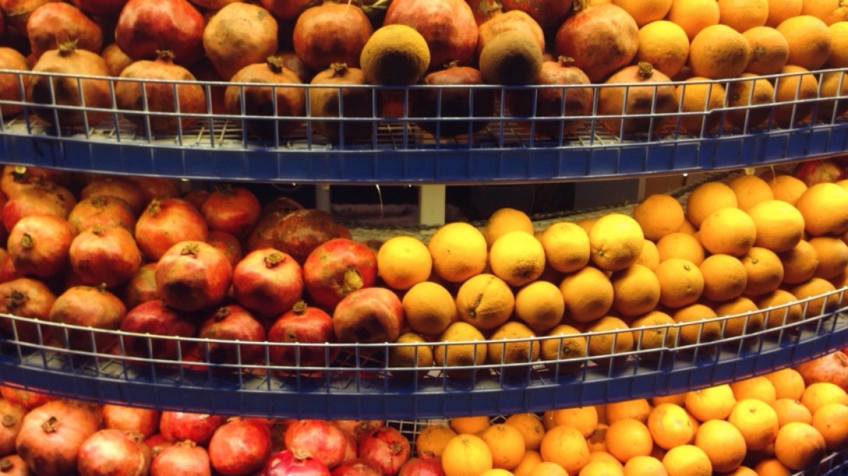 Фото Татьяны Швыряевой