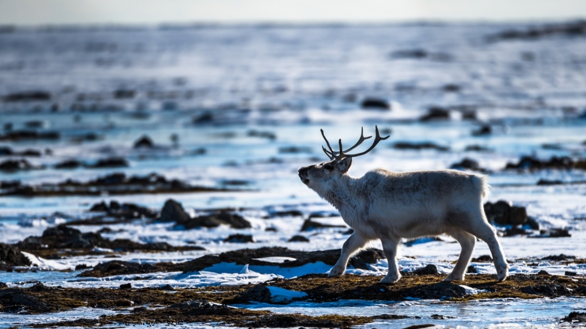 Фото: Сергей Доля