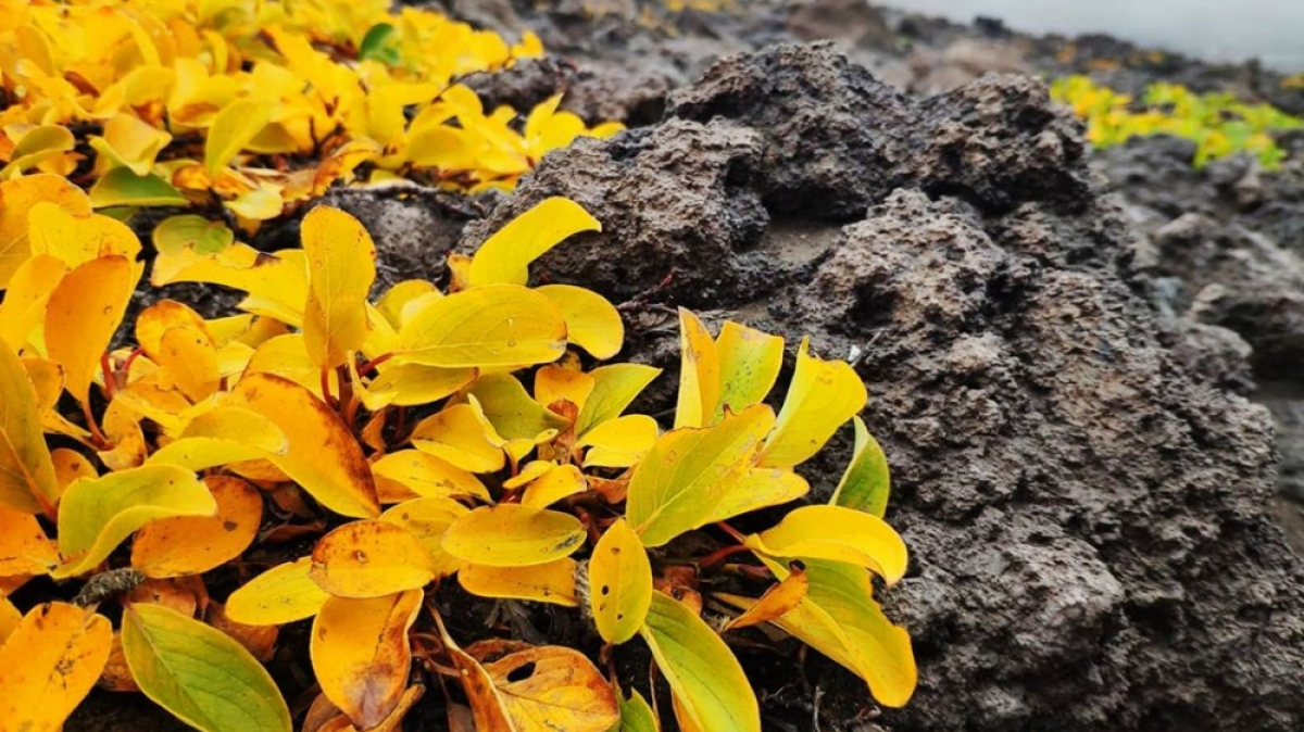 Фото нашего гида Евгении Скопиной