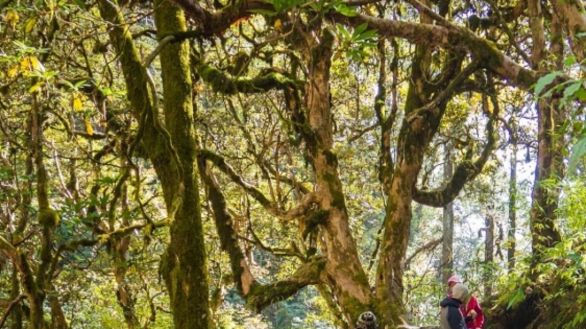 Фото нашего Странника Сергея Зарубина