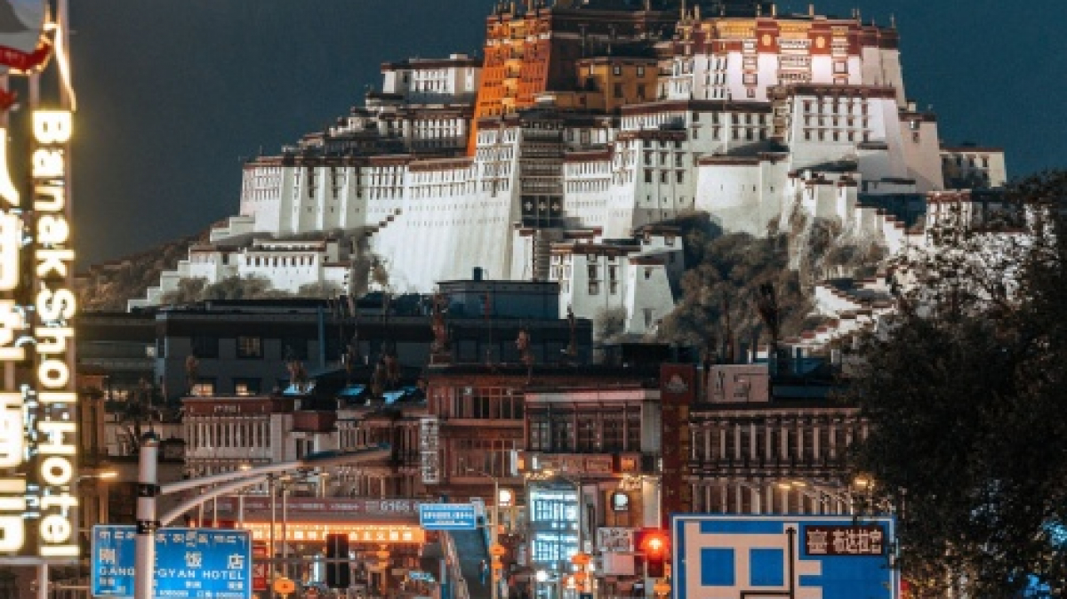 Фото: Catherine Scarlett on shutterstock