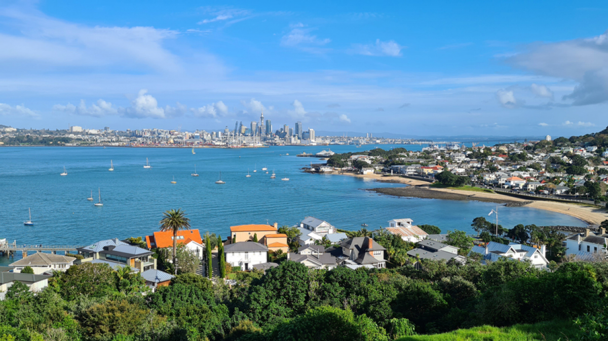 Фото наших партнеров JustGo ThereNZ