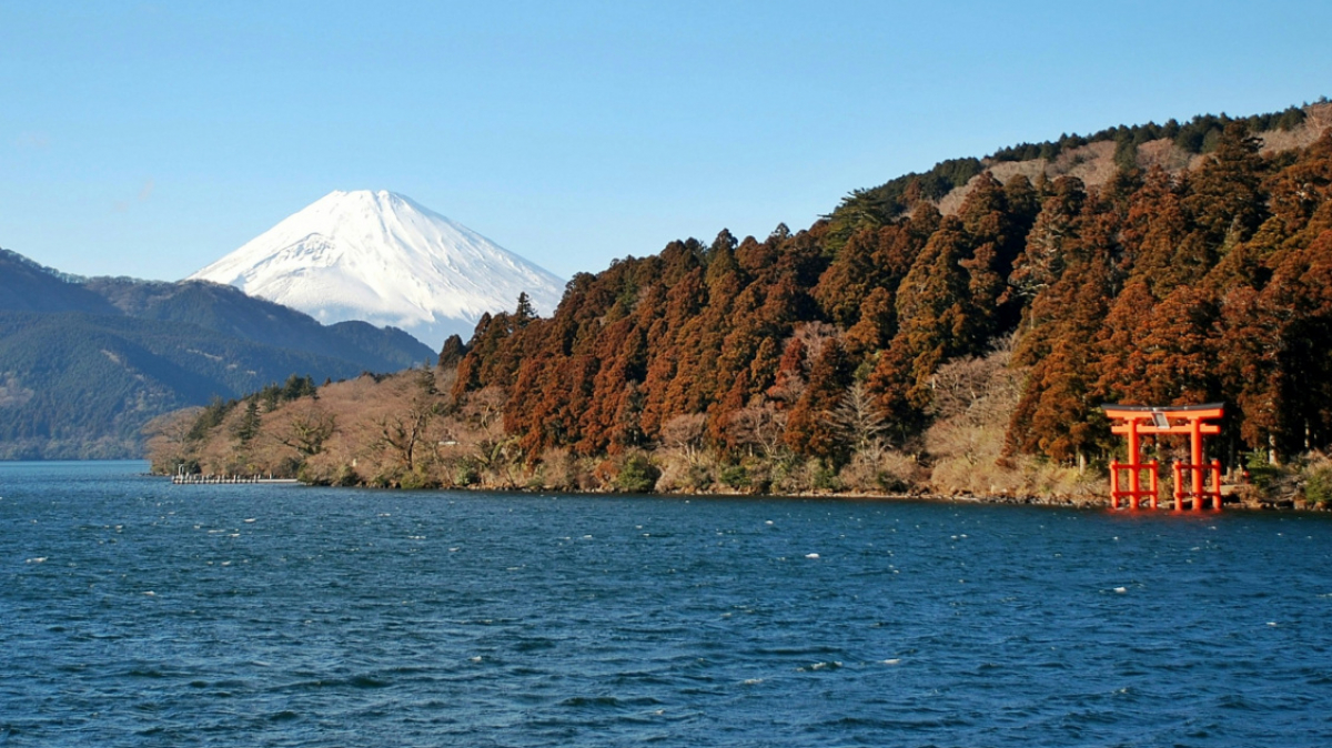 Фото: Snowscat on unsplash