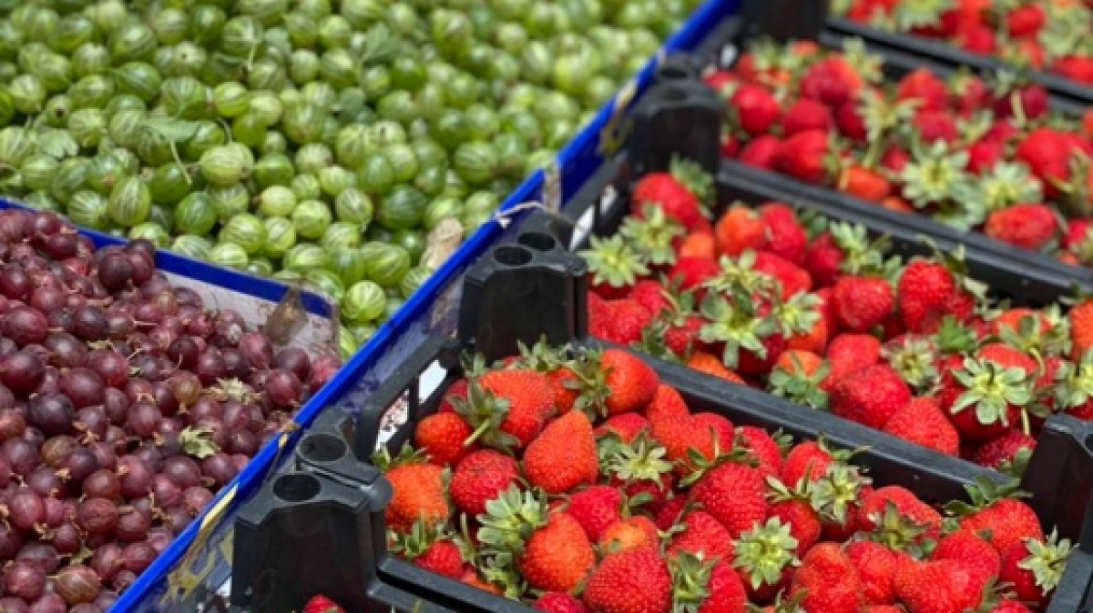 Фото из архива Клуба