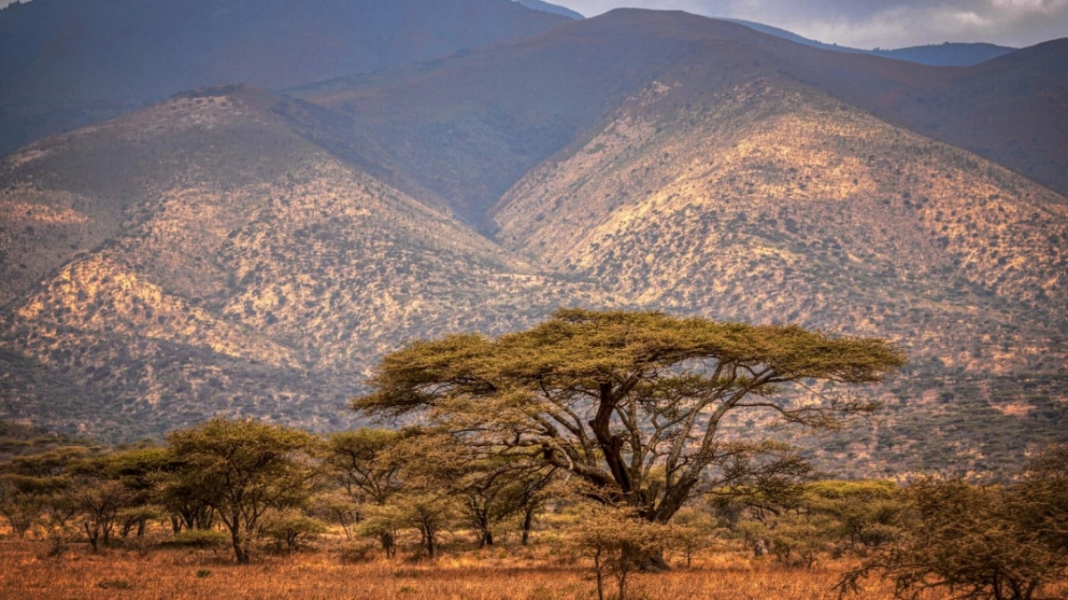 Фото: 
MARIOLA GROBELSKA, unsplash.com