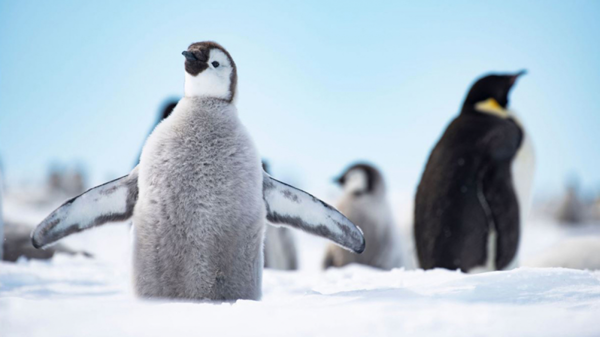 Фото из архива Клуба