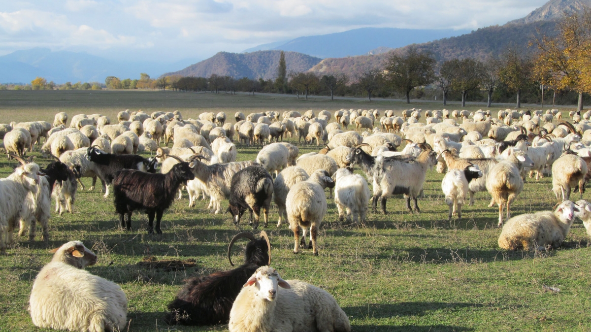 Фото нашего гида Ирины Пряничниковой
