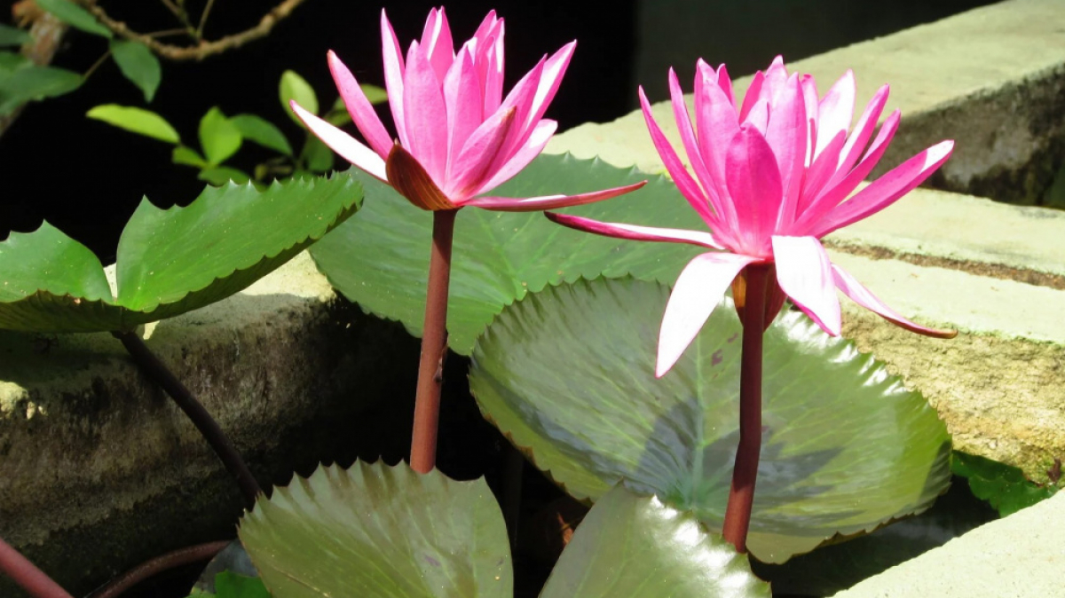 Фото нашего гида Лики Майстровой