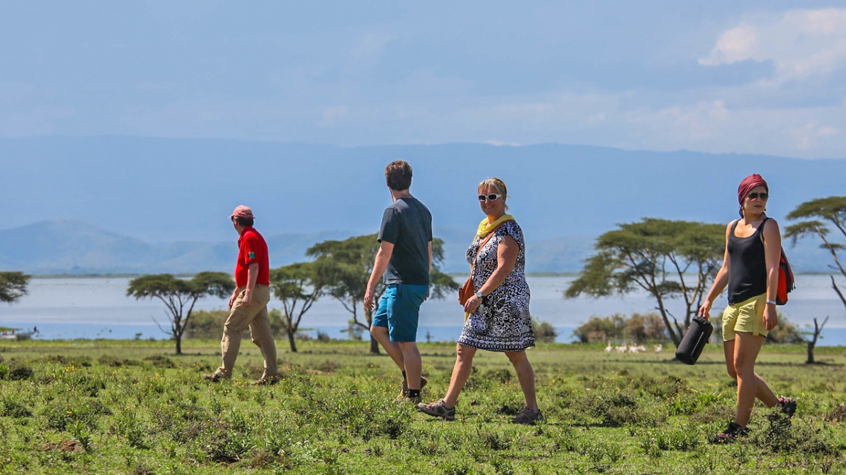 Фото: Ninara, visualhunt.com