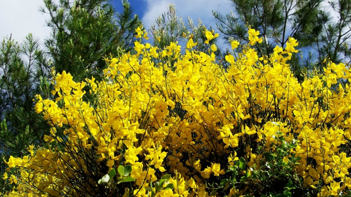 Фото нашего гида Евгении Скопиной