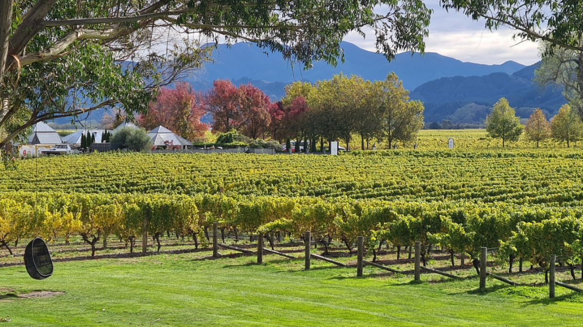 Фото: JustGoThere.NZ