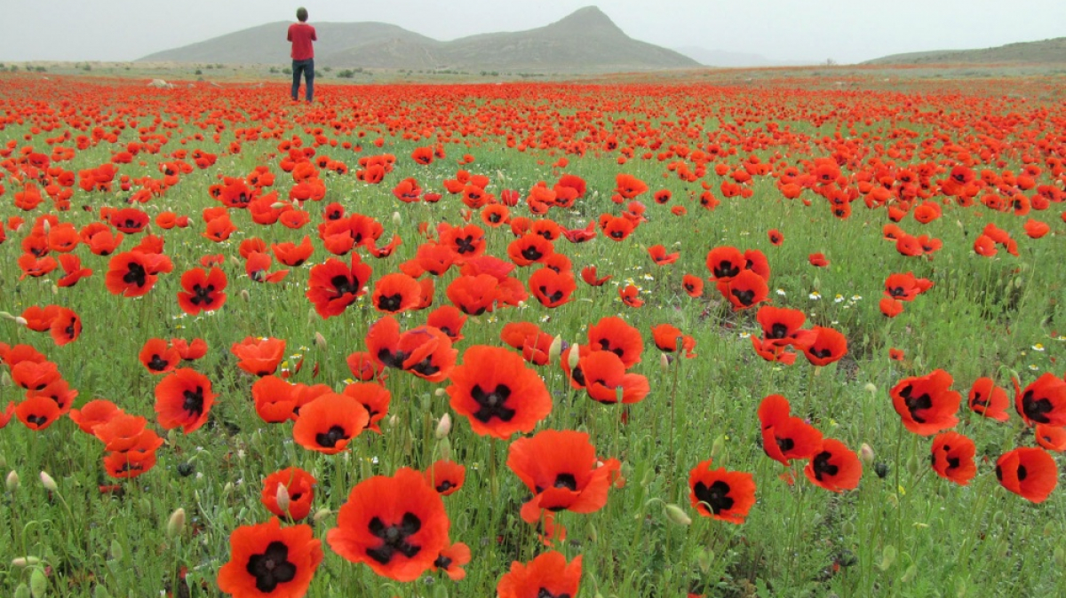 Фото нашего гида Ирины Пряничниковой