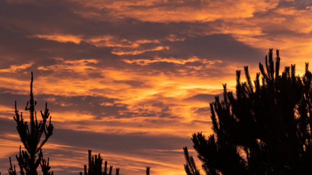 Фото: Tonia Kraakman, unsplash.com