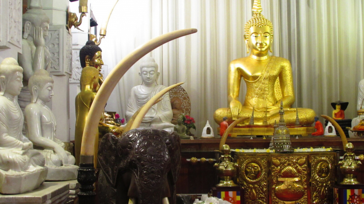 Фото нашего гида Лики Майстровой