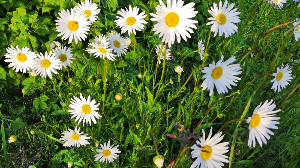 Фото нашей Странницы Татьяны Парцей